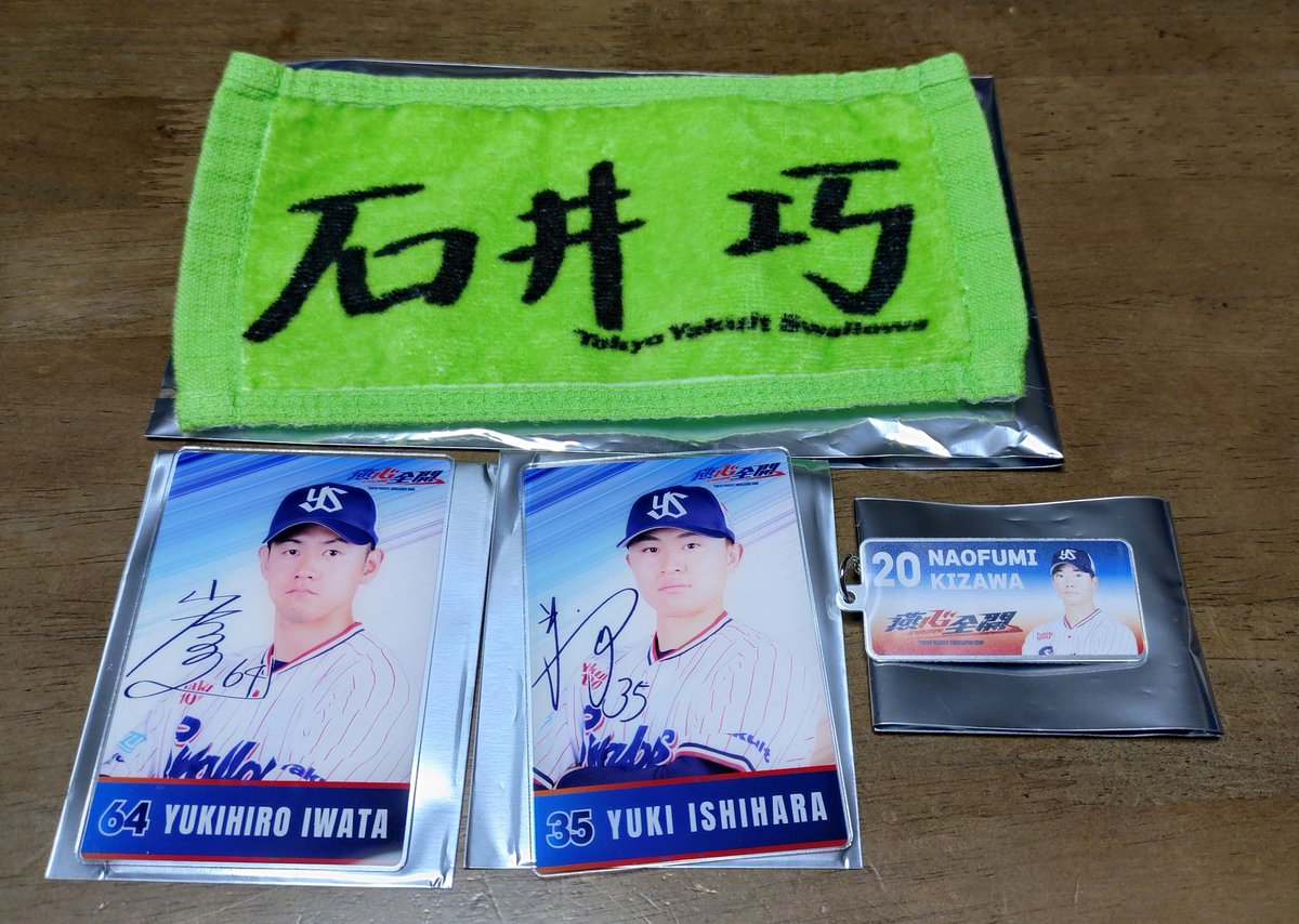 ツバメ好きのパンダ tweet media