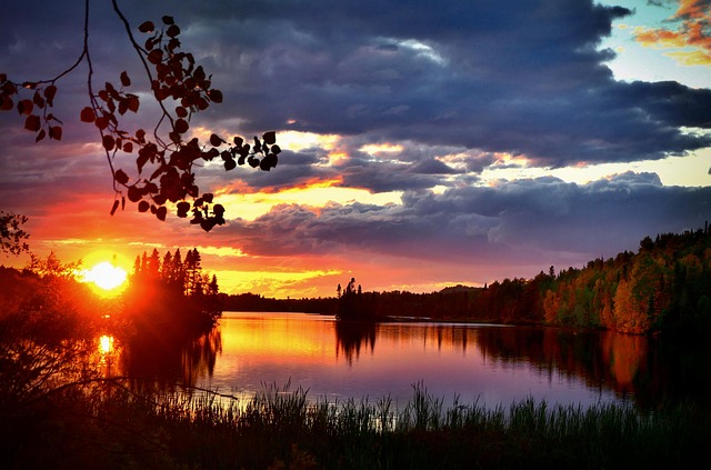 Jeremiah Galbraith tweet media