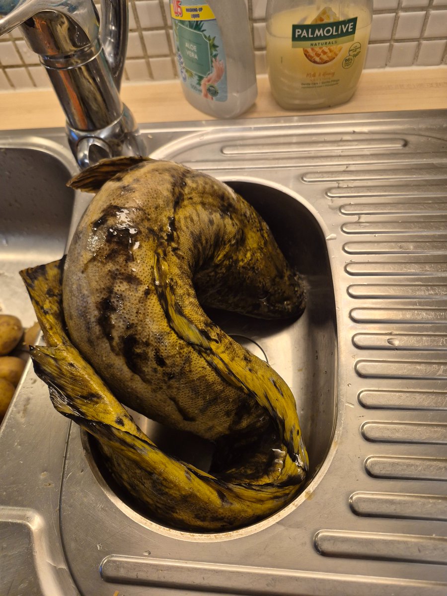 Pekka Holopainen tweet media