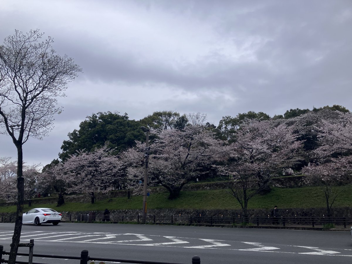 ゆかりん🪷 ayay tweet media