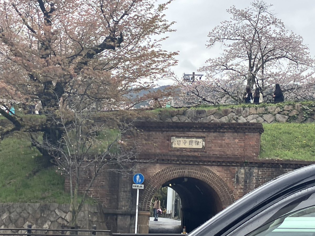 ゆかりん🪷 ayay tweet media