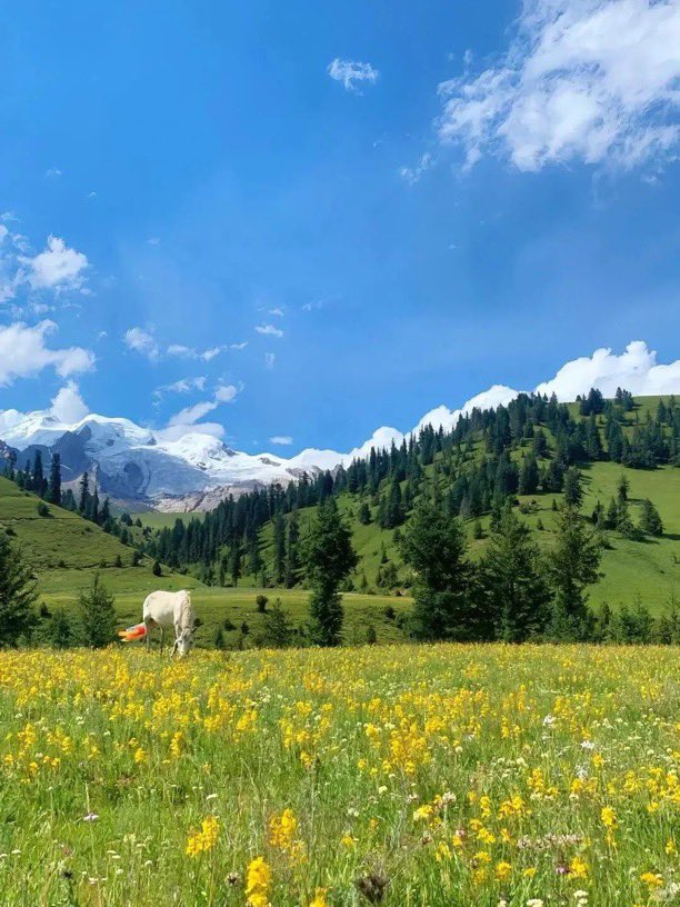 Girls therapy tweet media