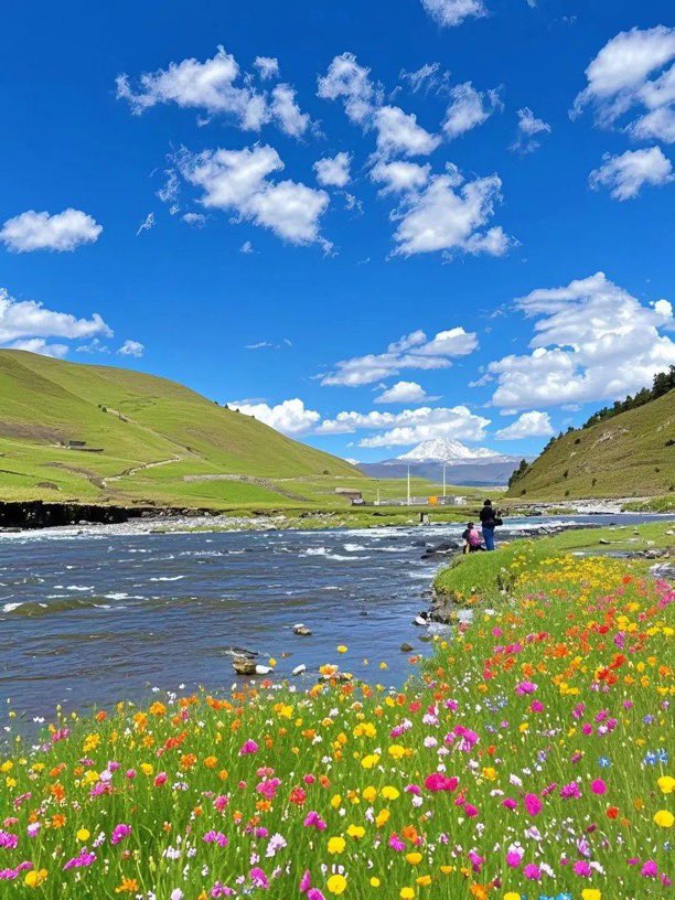 Girls therapy tweet media