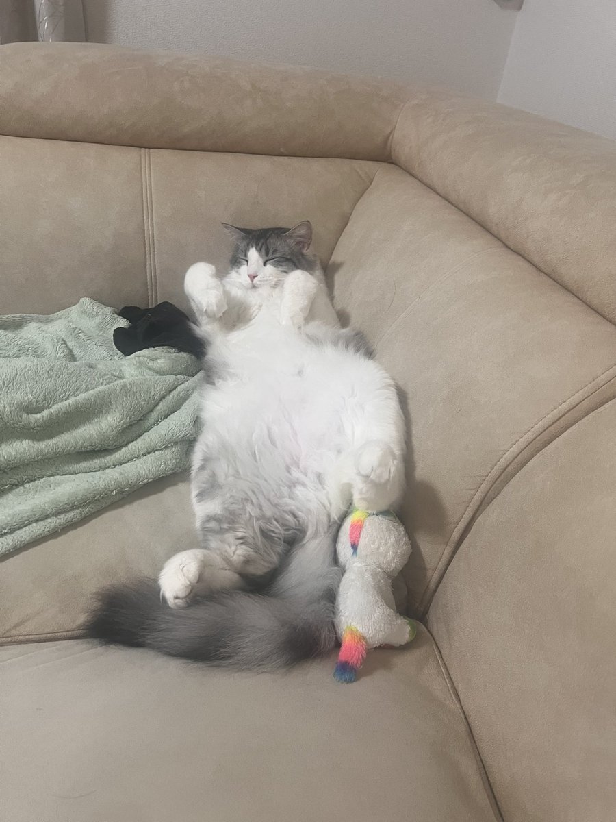 ꫛꫀꪝ✧‧˚ 𝒟𝒮𝒦_ ᴮᵁ-ᴺᴼ tweet media