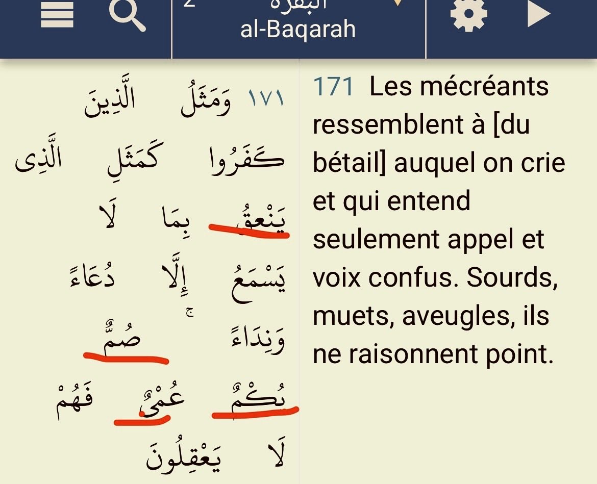 Knb L Sunshine tweet media