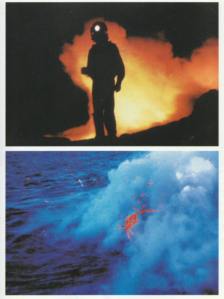 𝐬𝐨𝐯 tweet media