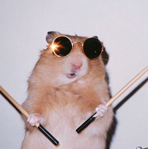 hamjin bot tweet media