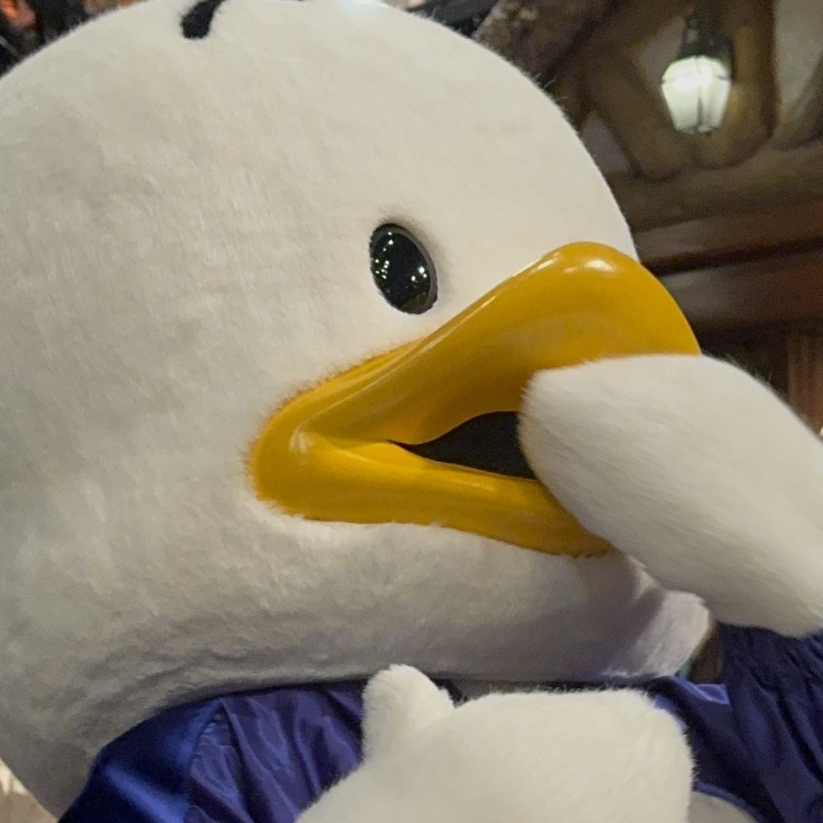 あるひのあひる tweet media