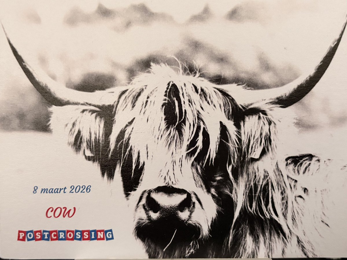 Mir6776's tweet photo. How I love cows! ๐ฅฐ๐
Dankje @Vikingsmeisje ๐
#Postcrossing #epic #EchtePostIsCool https://t.co/a2QvAkax1j