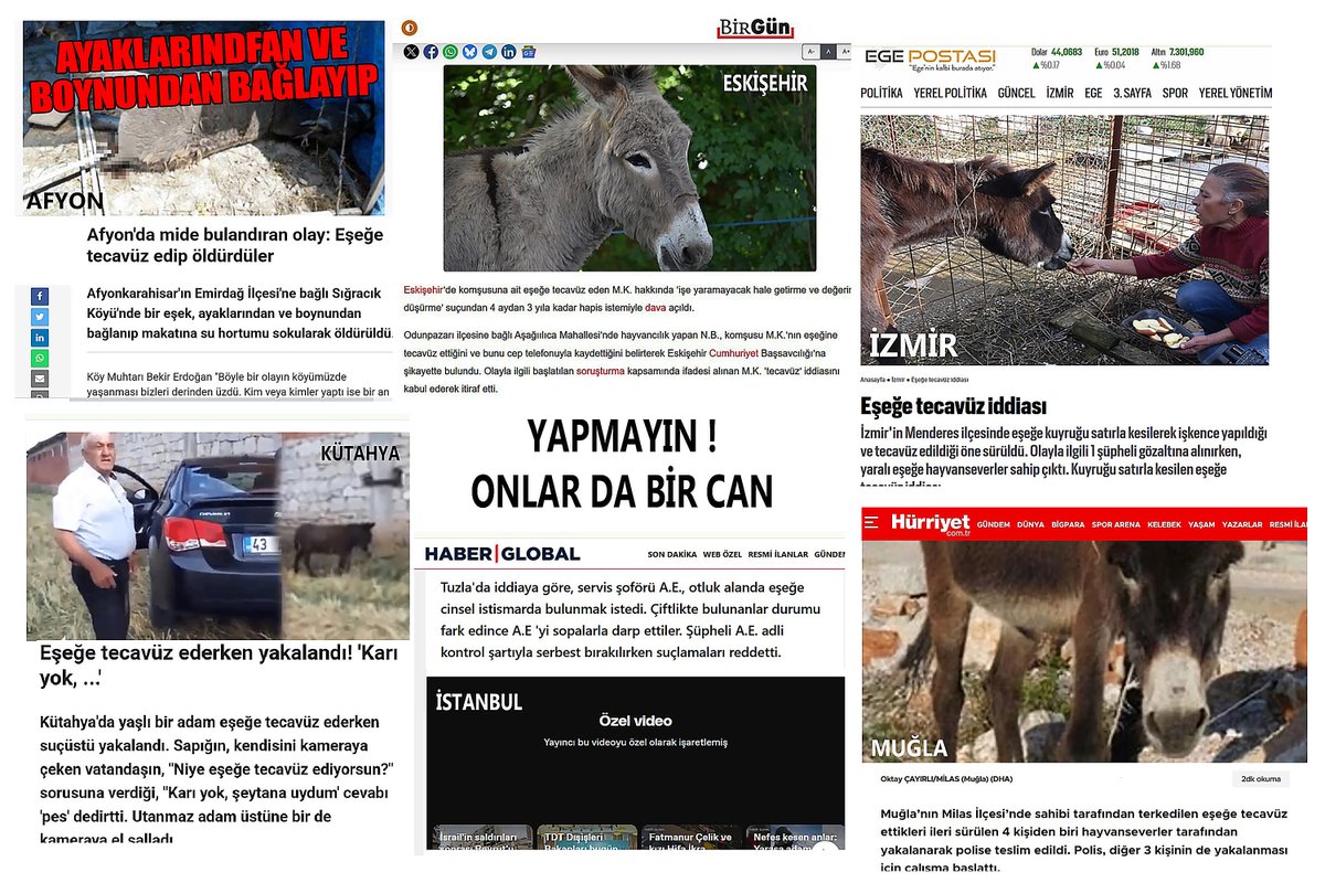 SON FAŞİST BÜKÜCÜ tweet media