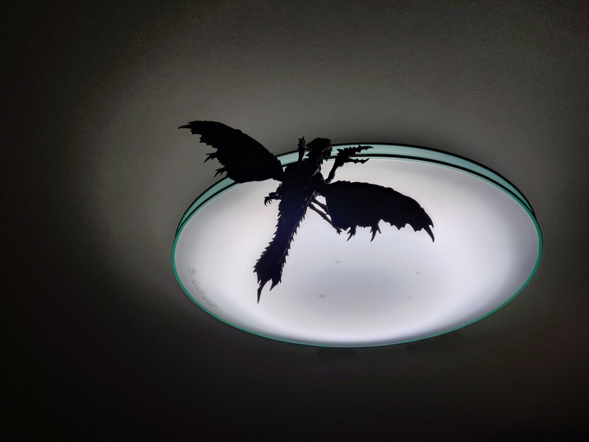 金子孝德 tweet media