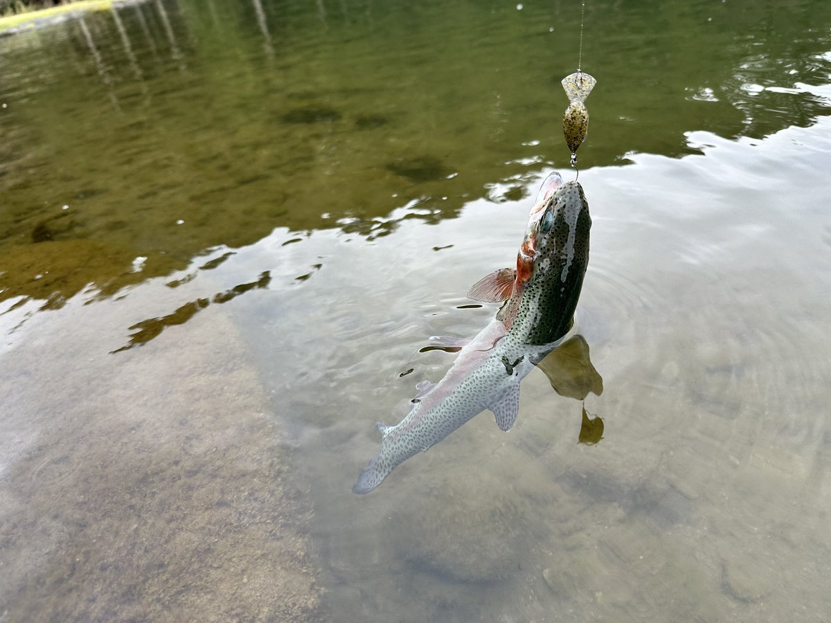 JC Lures tweet media