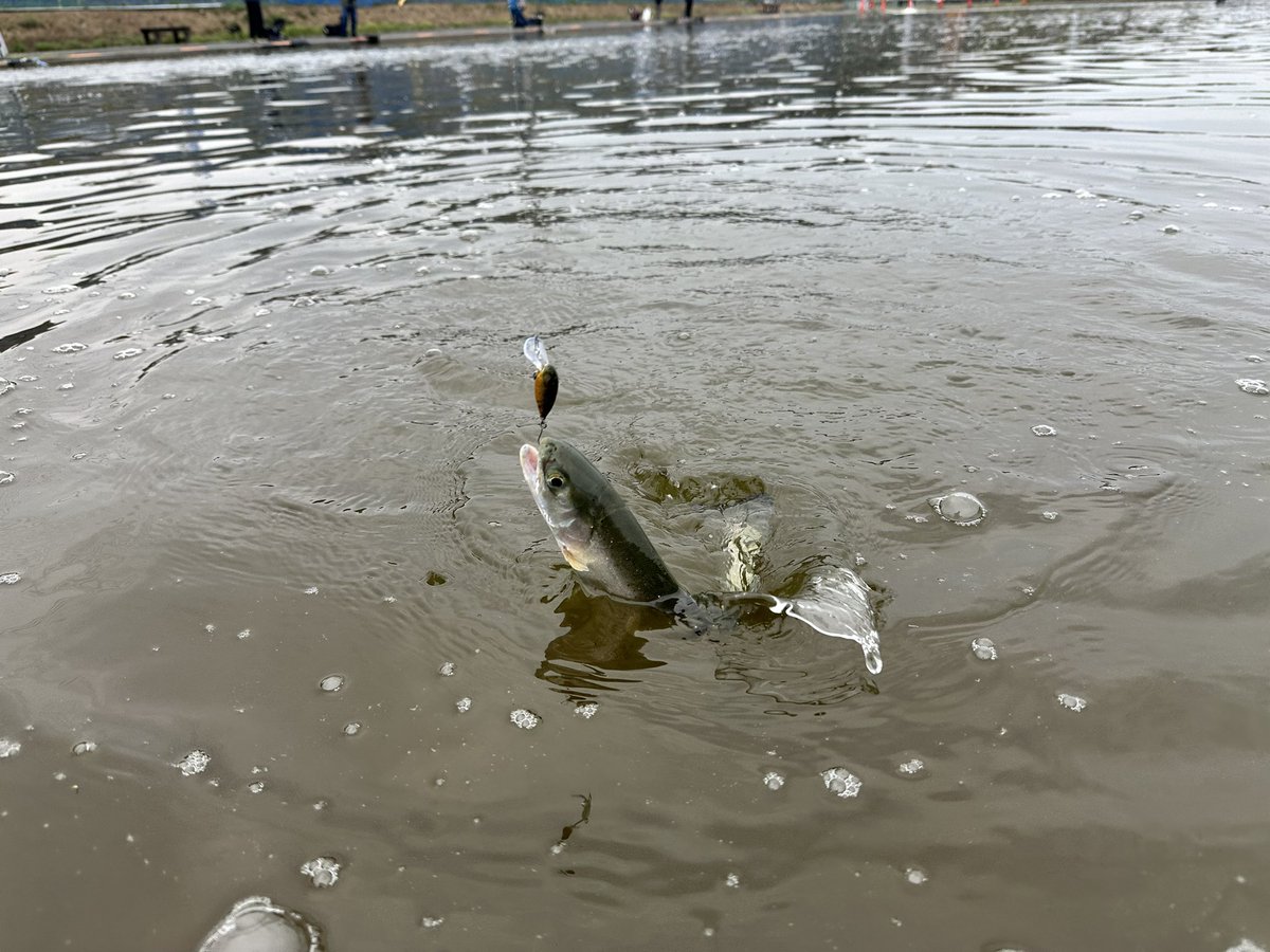 JC Lures tweet media