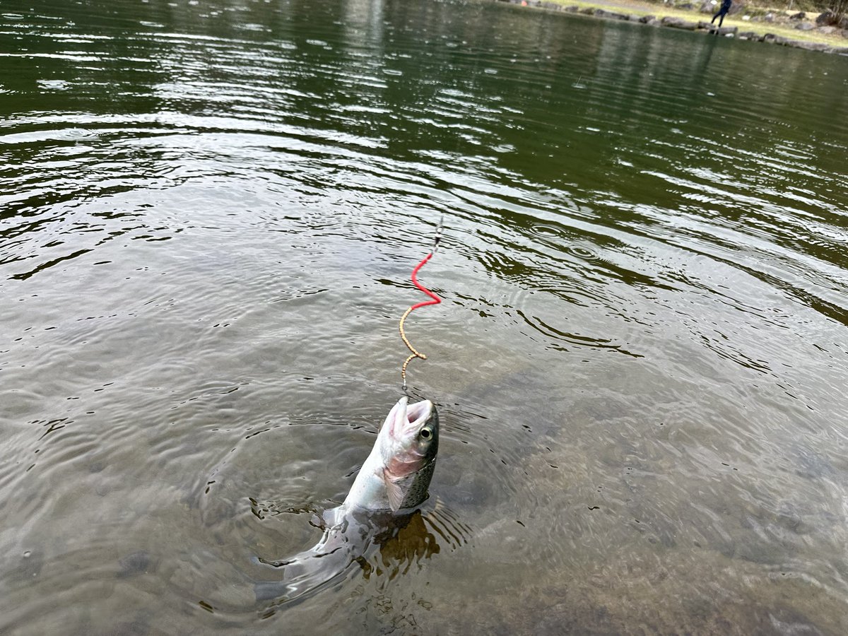 JC Lures tweet media