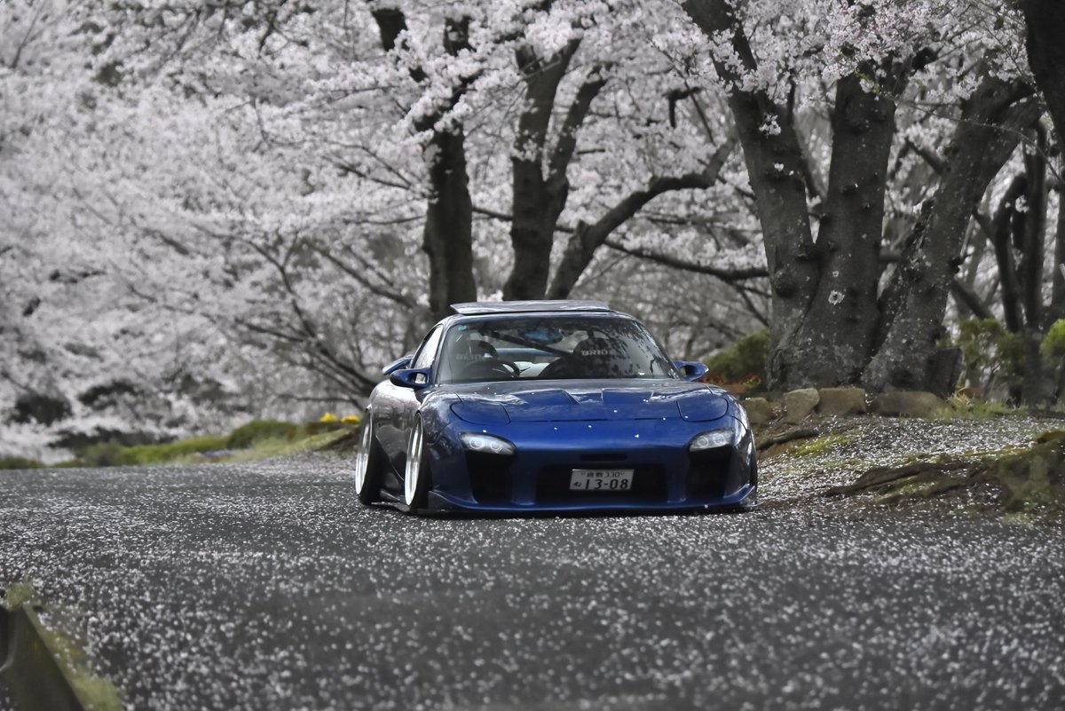 rx7fd3s1991's tweet photo. 今年も桜と撮れました🌸 https://t.co/n1C7gPTXlj