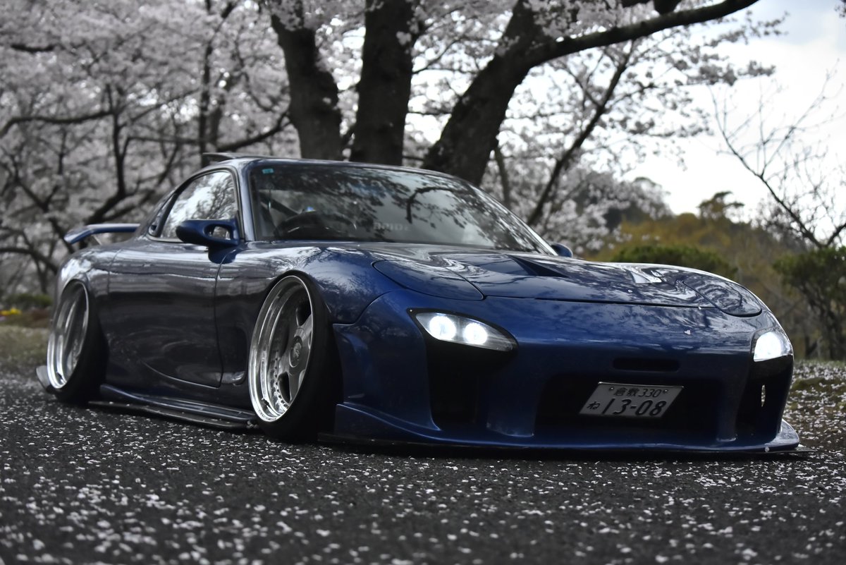 rx7fd3s1991's tweet photo. 今年も桜と撮れました🌸 https://t.co/n1C7gPTXlj