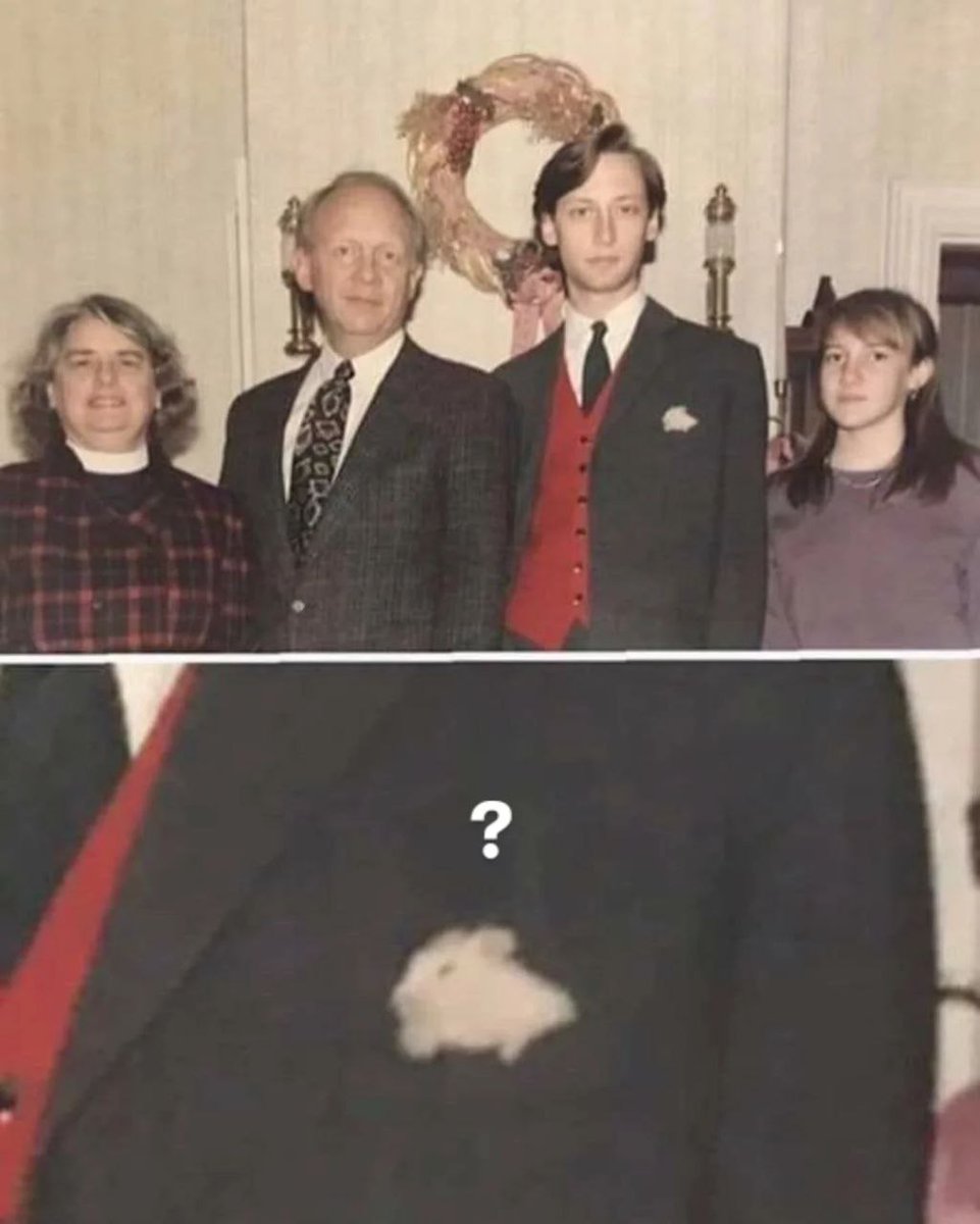 Tweets Of Hamster tweet media