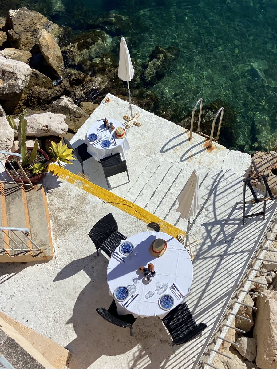 𝑵𝒐𝒓𝒕𝒉 | inês cross 🦐 tweet media