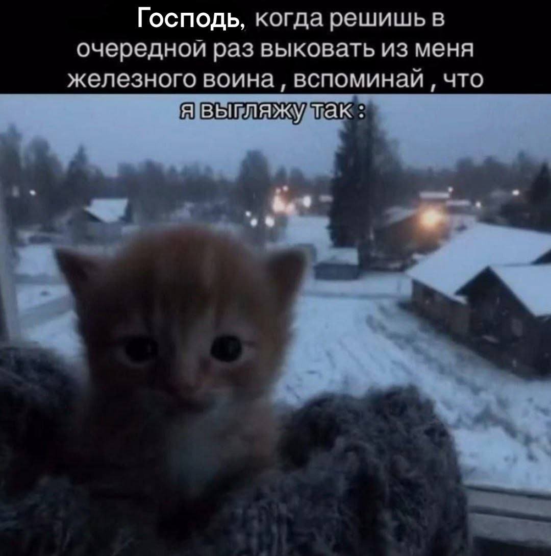 Alex Payne tweet media