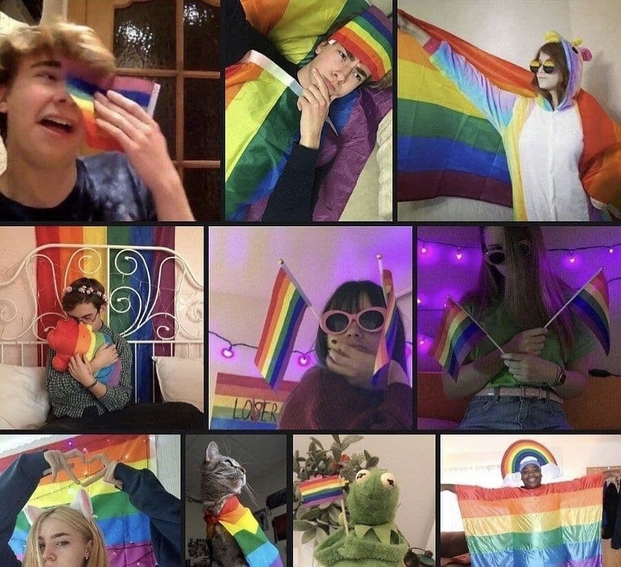 анич tweet media