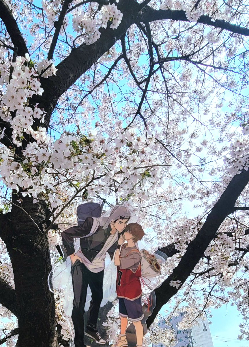 다시다디포리 tweet media