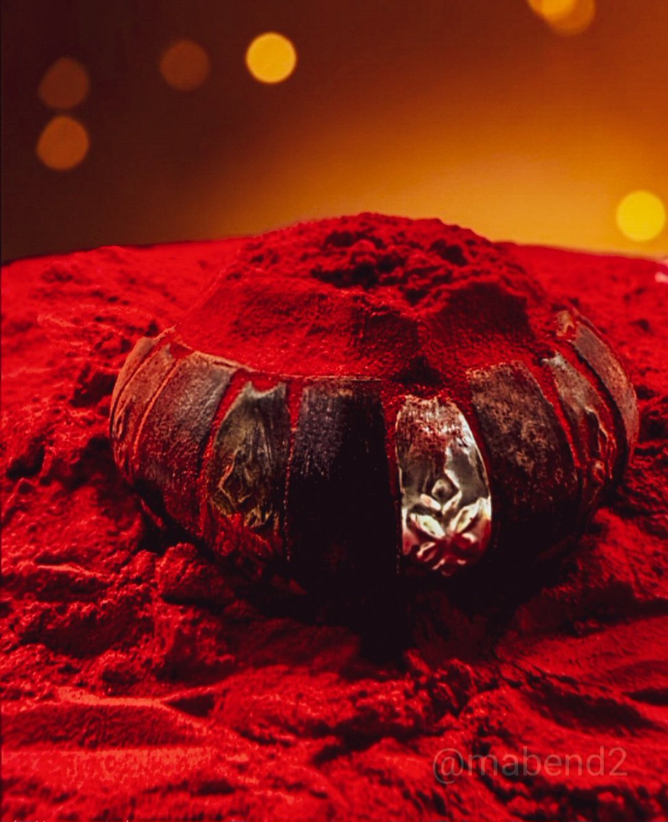 Manda Bendre 🇮🇳 tweet media