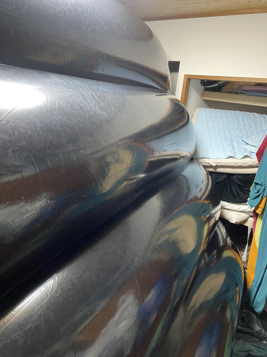 シャーチン( ¯꒳¯ )ᐝ tweet media