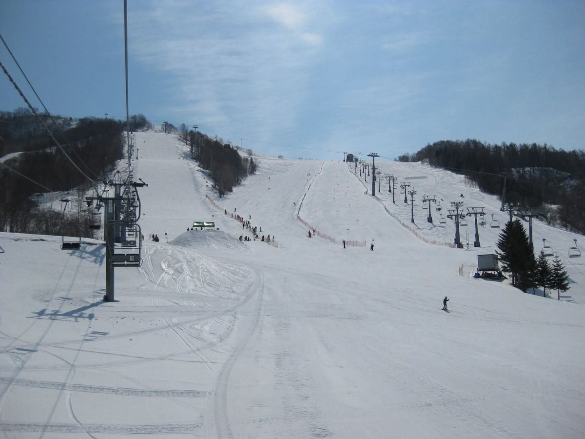 marutake tweet media