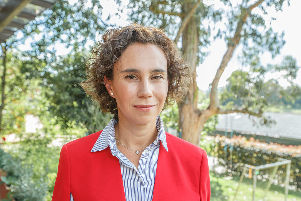 GUSTAVO GONZALEZ GONZALEZ tweet media