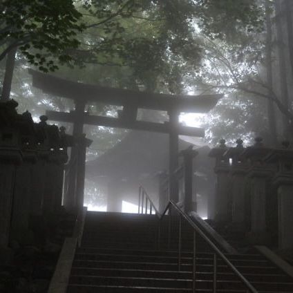 nina's attorney tweet media