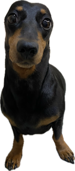 ittrgrey - Undermining Starmer Every Day - 🇵🇸 tweet media