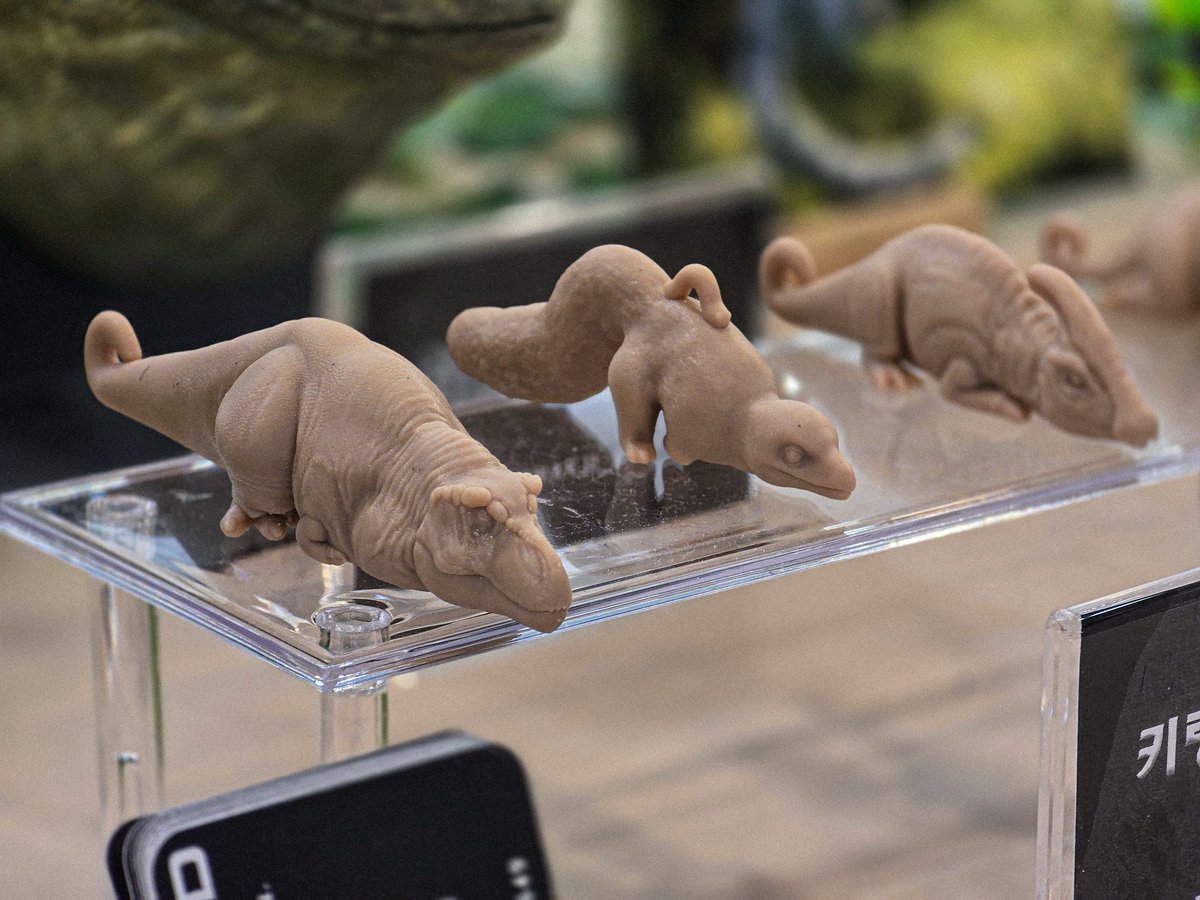 낙지 Nakji 3D tweet media