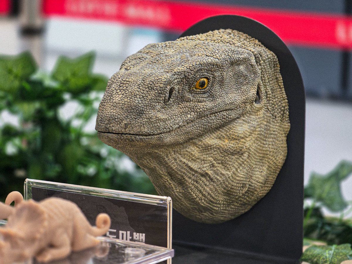 낙지 Nakji 3D tweet media