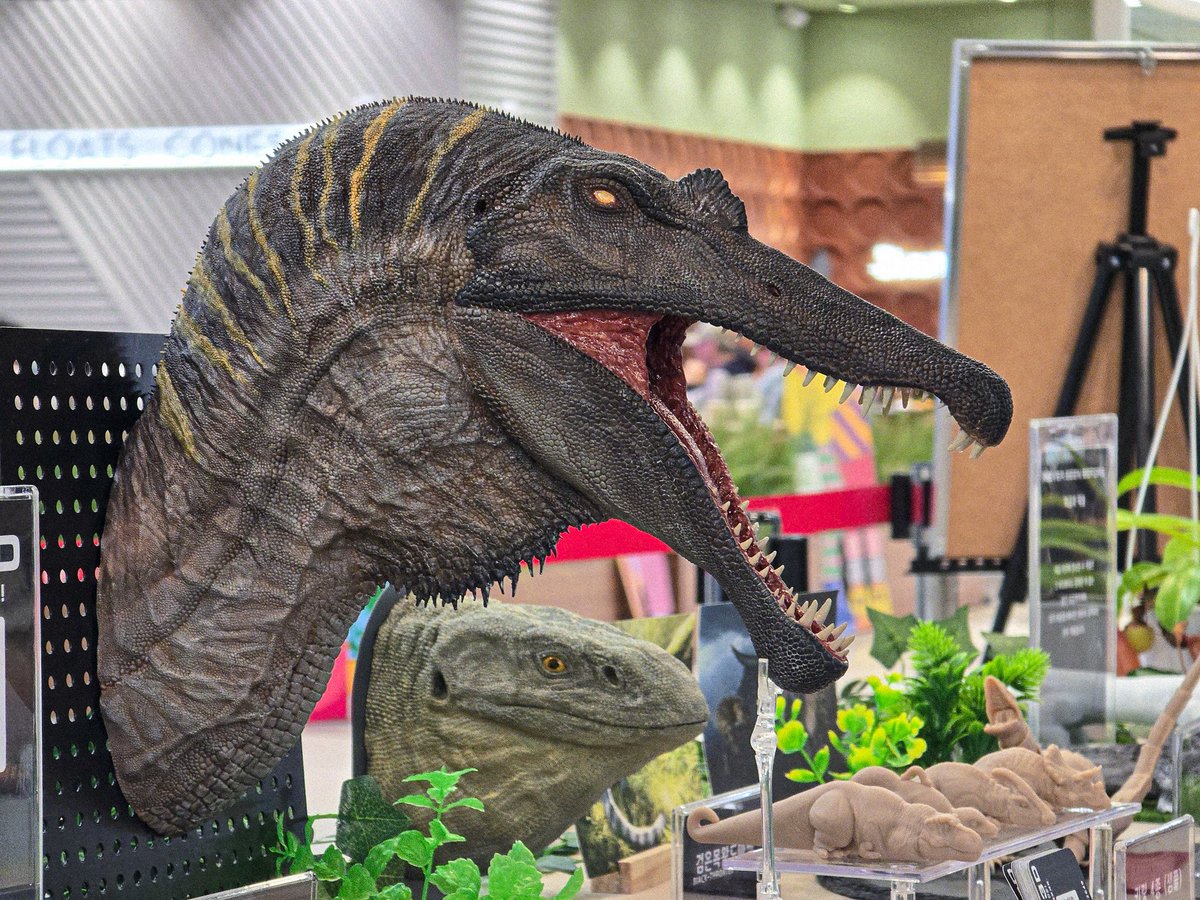 낙지 Nakji 3D tweet media