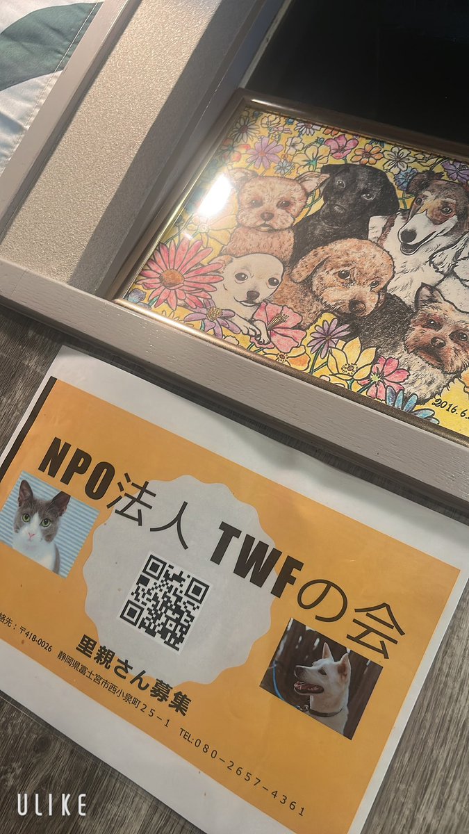 mana deco 🐝 tweet media