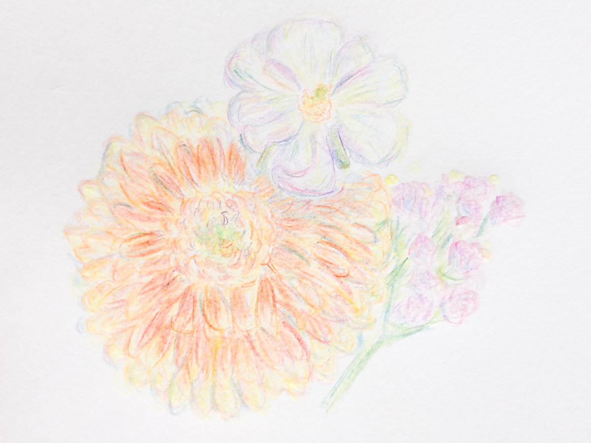 すなお tweet media