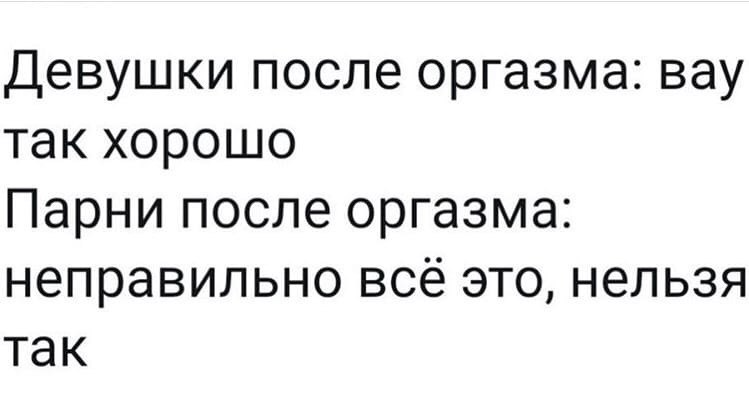 Василий Новиков tweet media