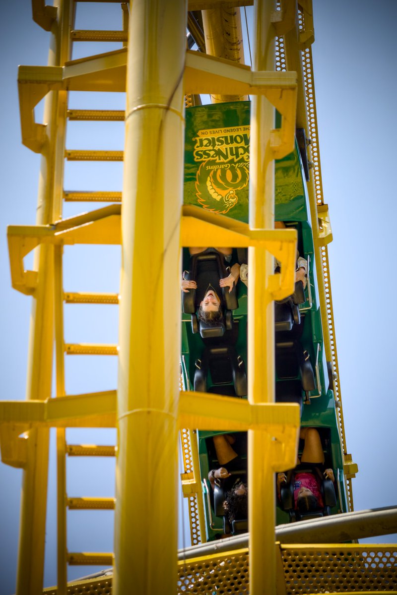 Themetography tweet media