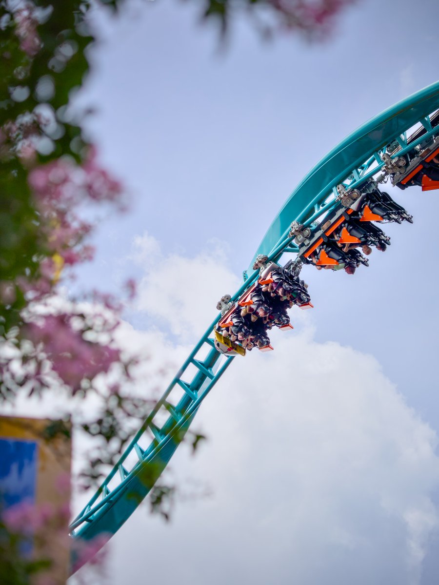 Themetography tweet media