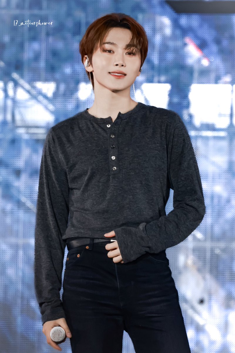 17_meteorshower tweet media