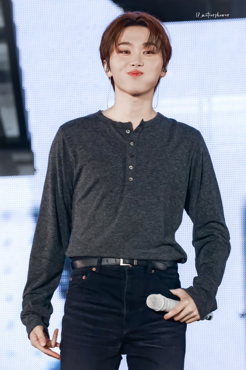 17_meteorshower tweet media