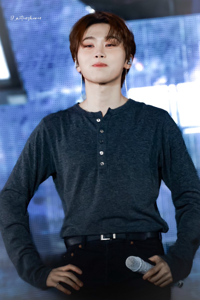 17_meteorshower tweet media