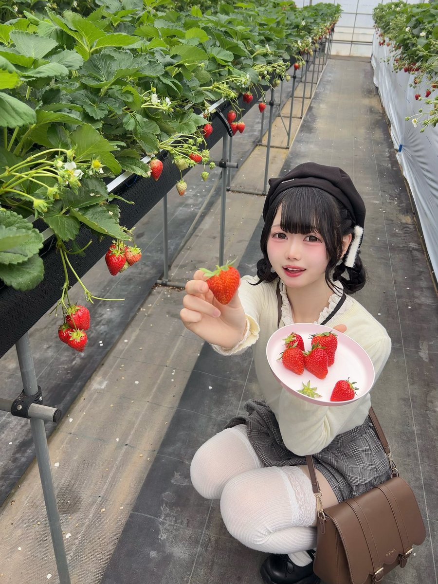 天城りあ tweet media