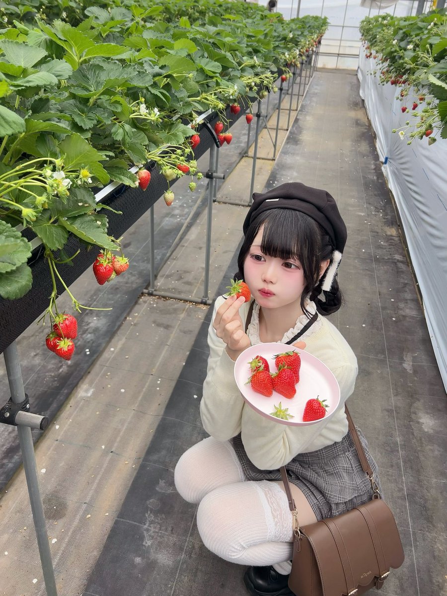 天城りあ tweet media