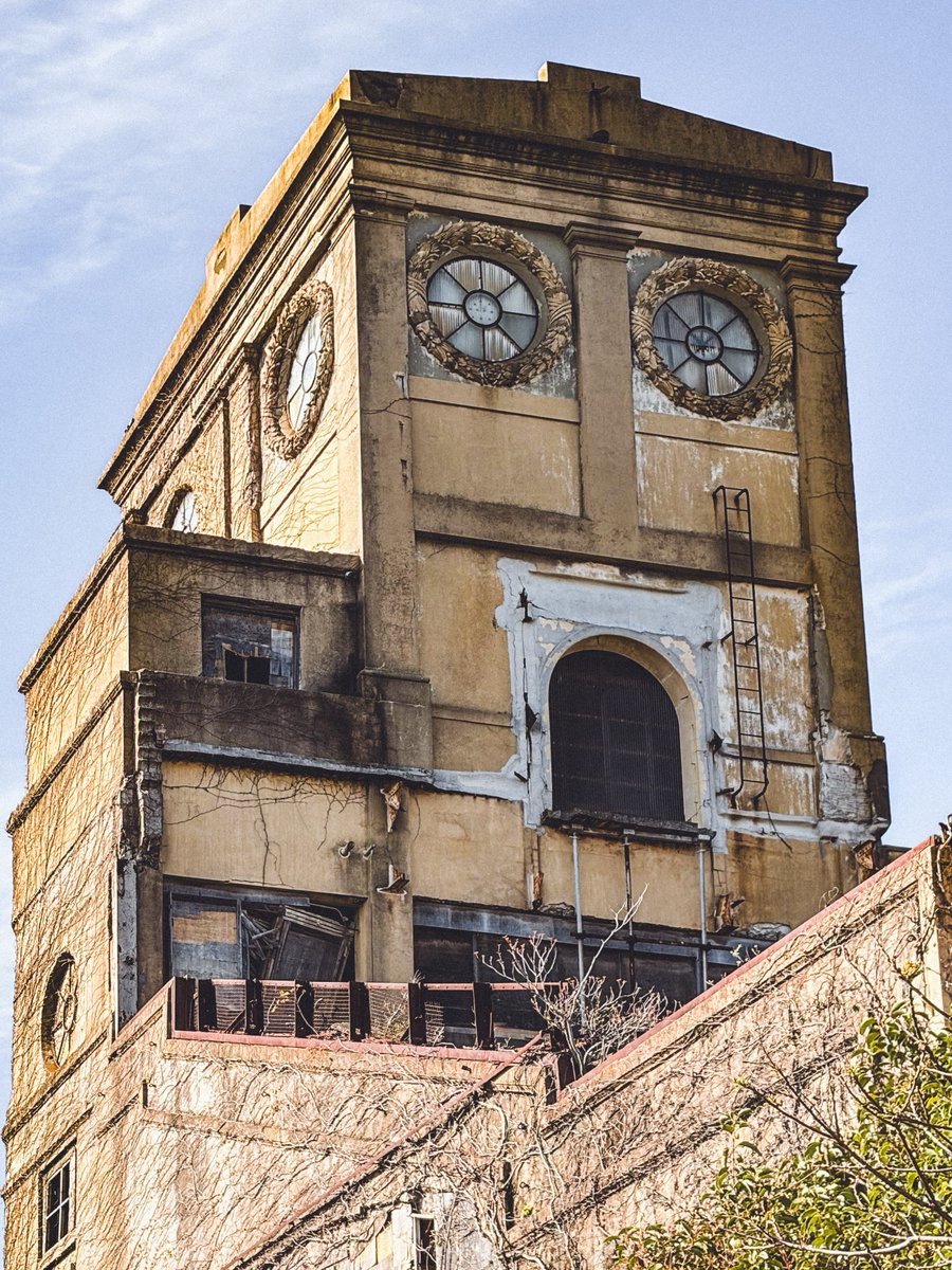 𓃰 𝕣𝕒𝕟 𓃰 フィルムで廃墟 tweet media