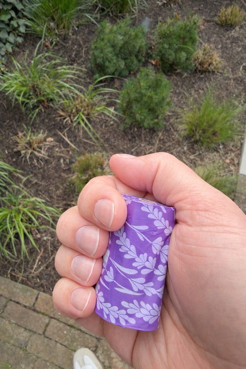 PeterterHorst's tweet image. Heel eerlijk, ik lachte vroeger mannen met poepzakjes in hun jaszak uit…..
kijk eens wat er nu in de mijne zit 😅💩🐶
Ik ben officieel toegetreden tot de club van ‘altijd poepzakjes bij de hand-hondenbaasjes’. 

#karma #hondenleven #millie #vanlachennaarleren #baasjelife