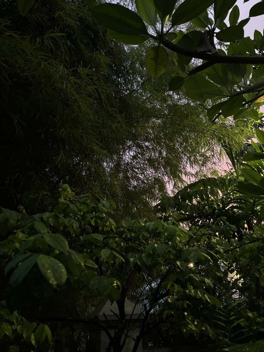 Iwan Piliang tweet media