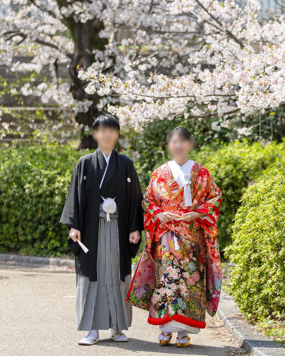 サカタつくね🦔🌱 tweet media