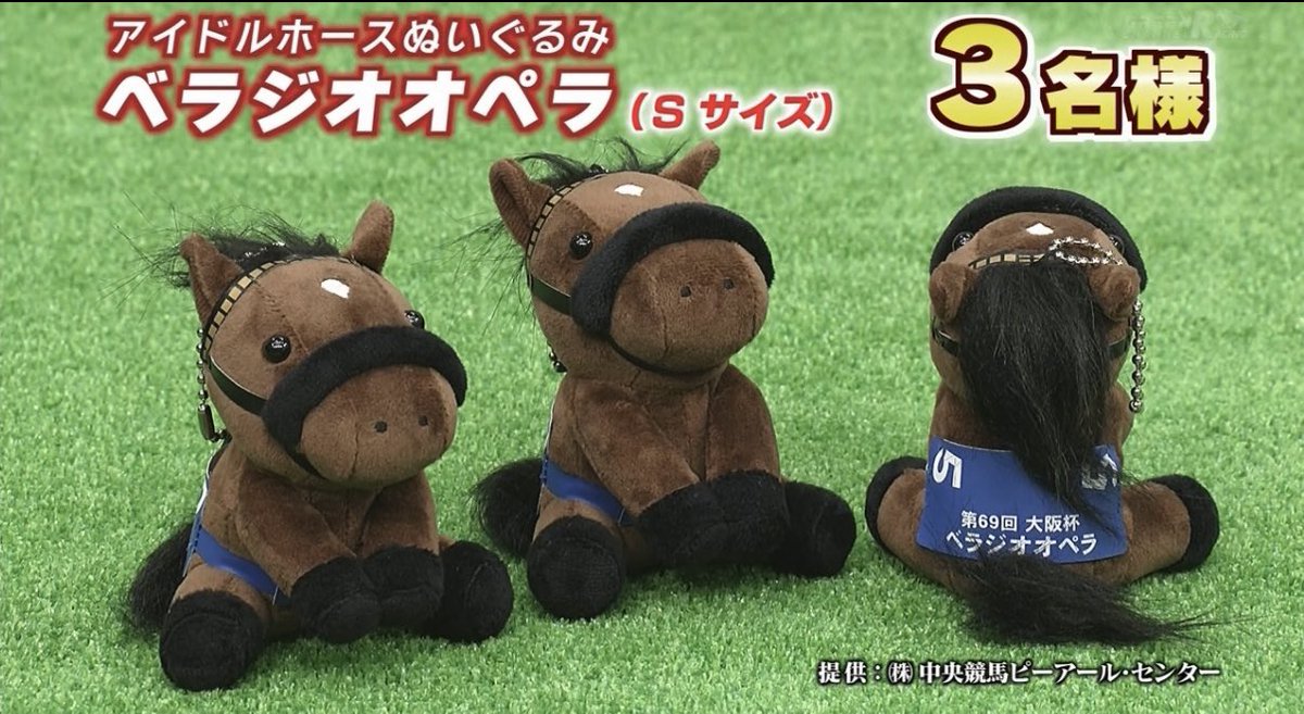 中央競馬全レース中継 G1スペシャルプレゼント アイドルホース