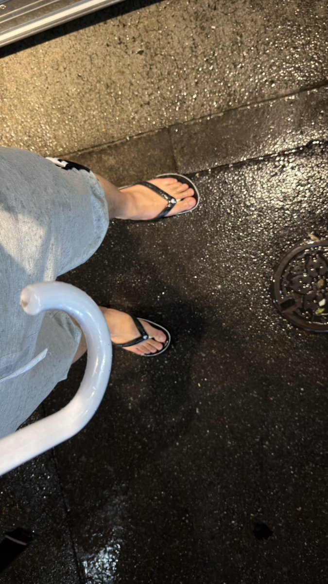 SHOHEY 쇼헤이 tweet media